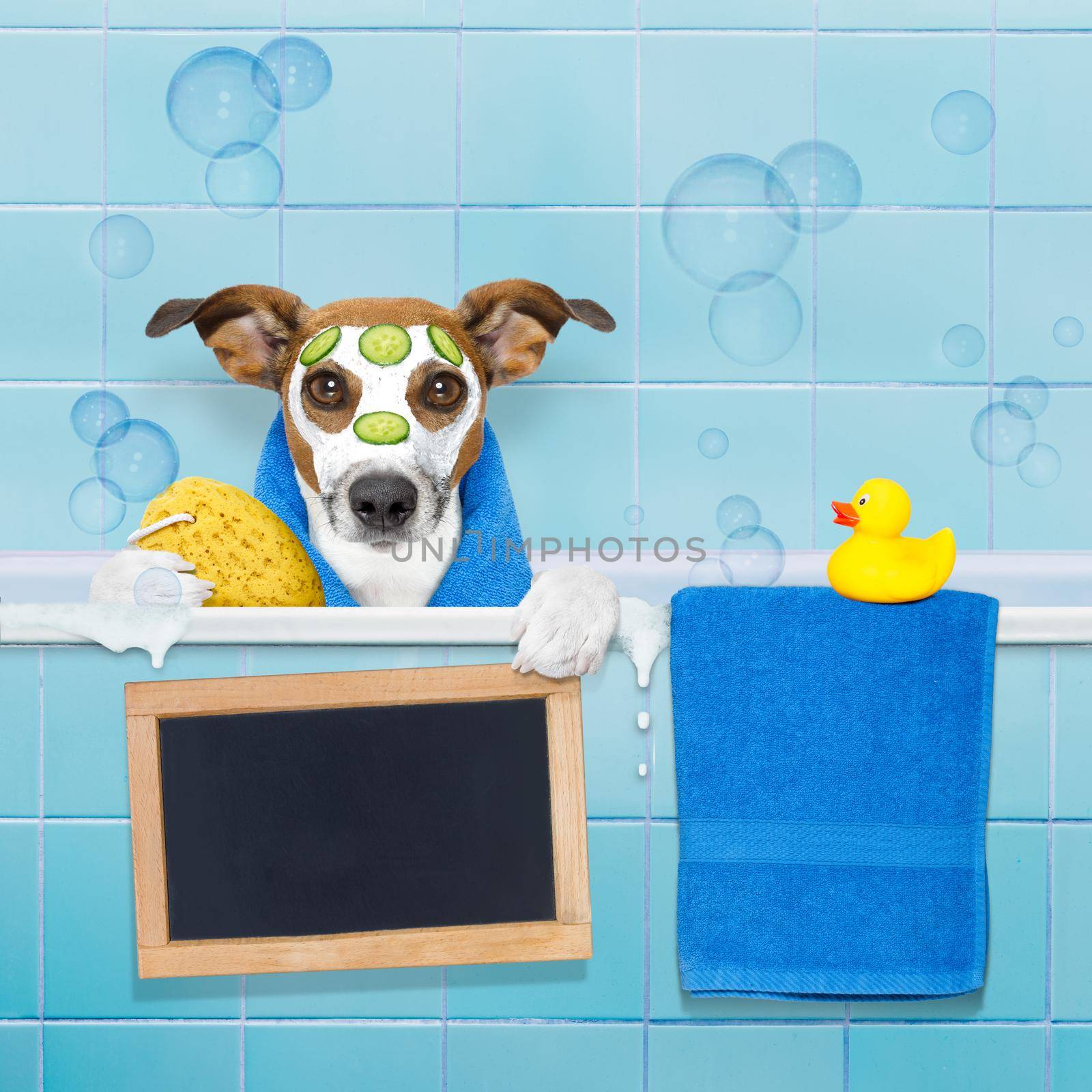 dog in shower by Brosch