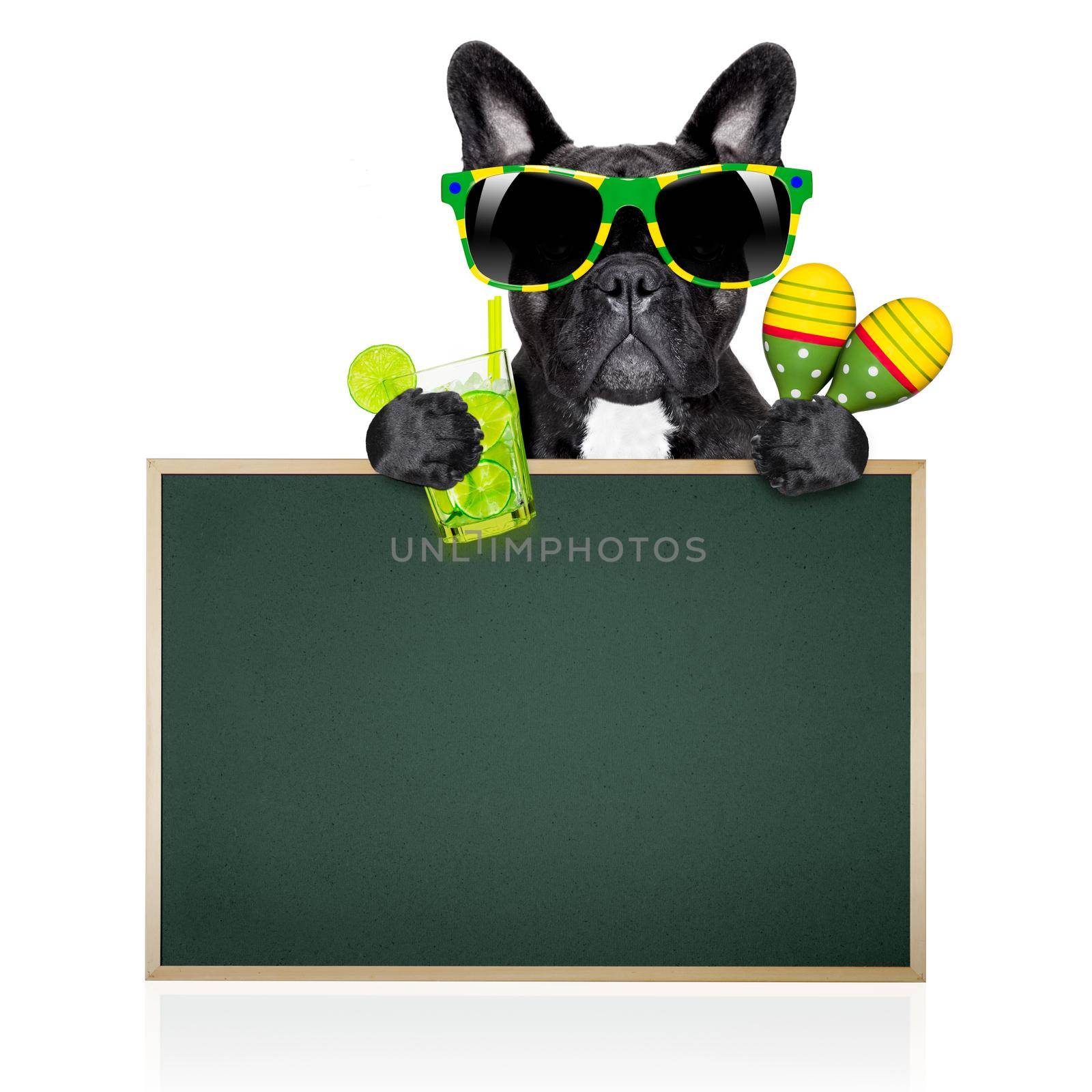 summer cokctail dog by Brosch