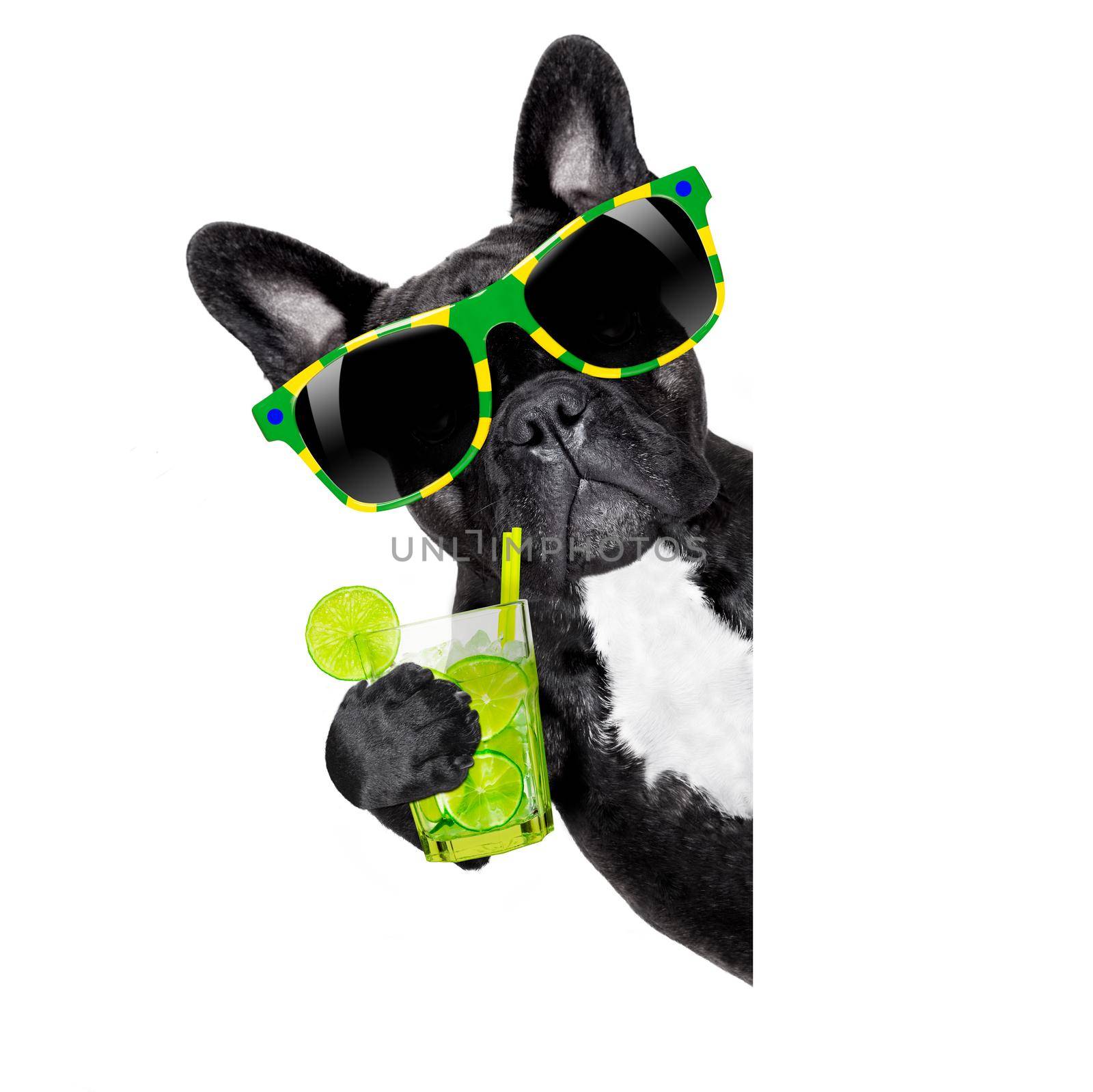 summer cokctail dog by Brosch