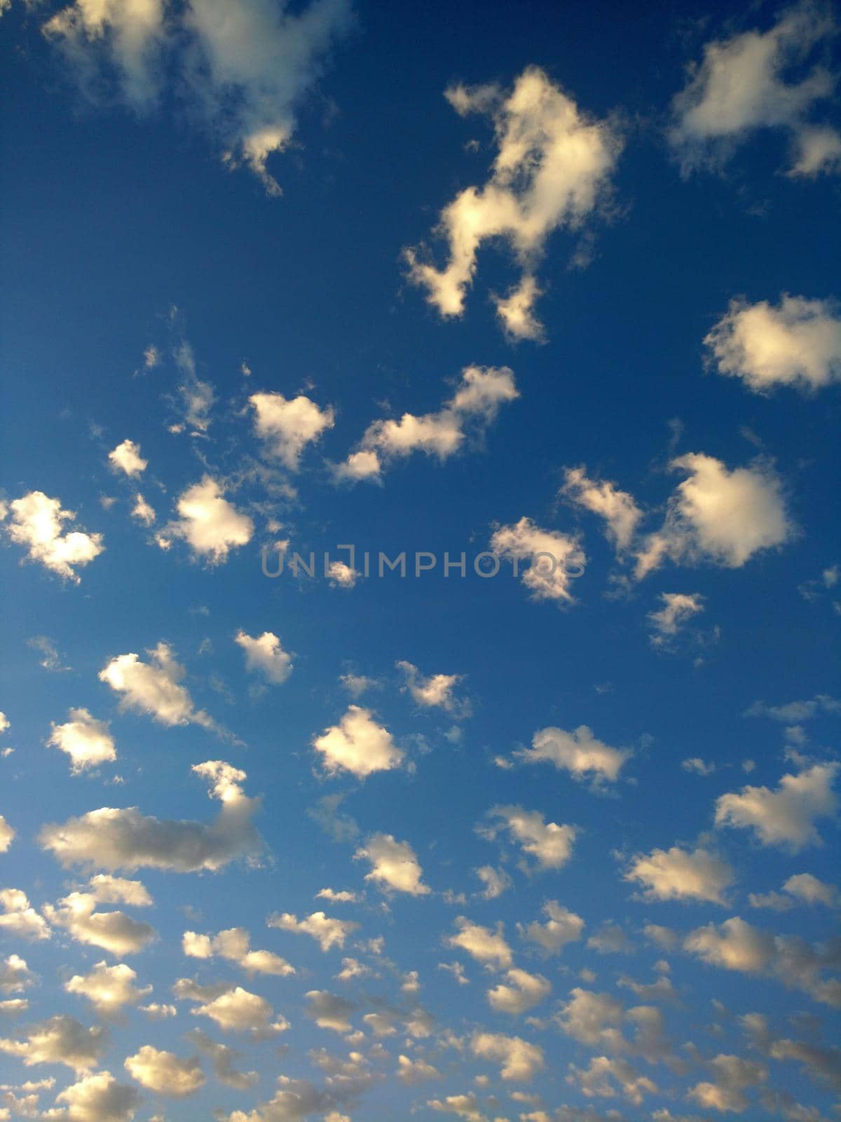 Clouds in the morning sunlight against the blue sky.