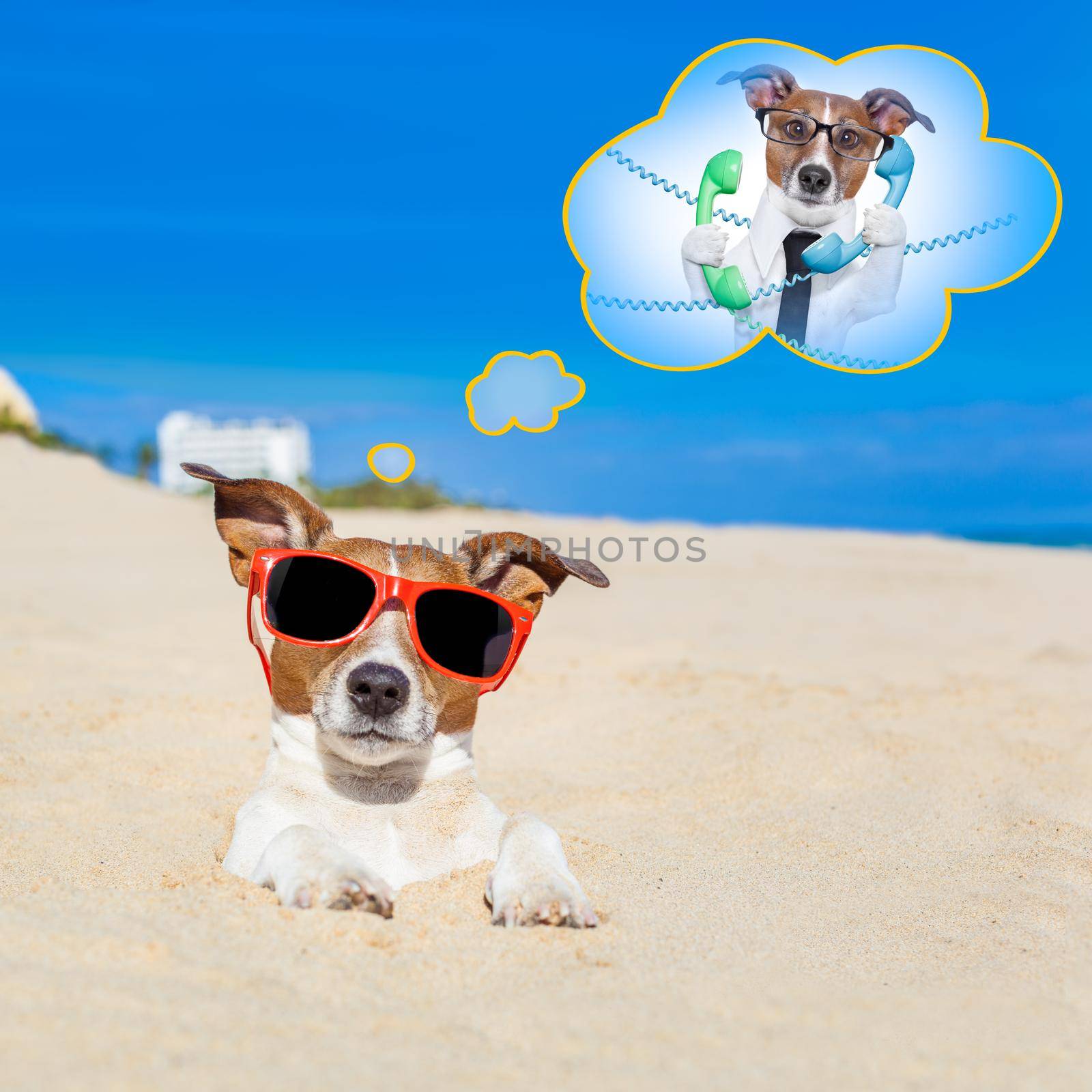 jack russell dog  buried in the sand at the beach on summer vacation holidays , wearing red sunglasses thinking of work