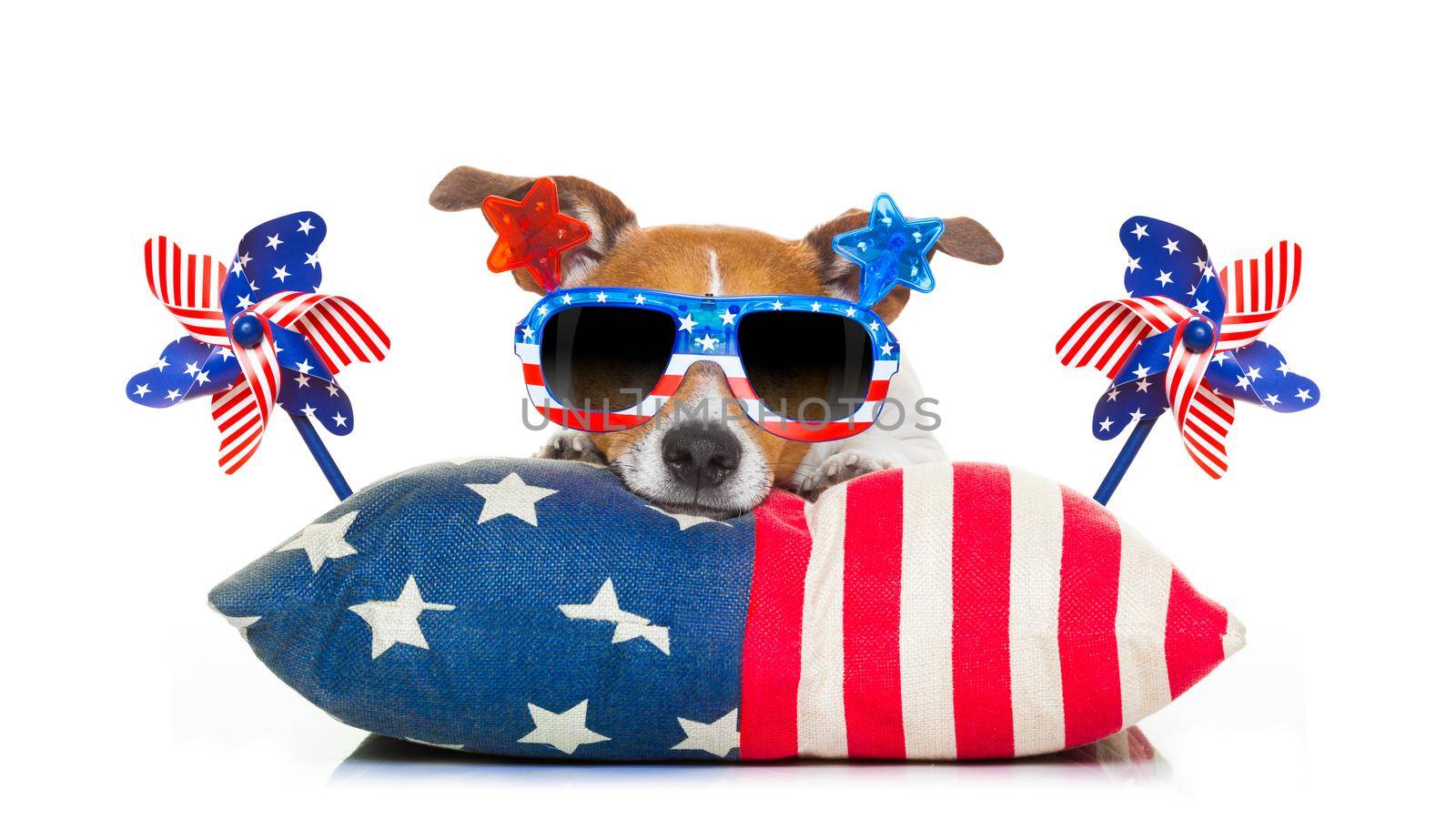 jack russell dog celebrating 4th of july independence day holidays with american flags and sunglasses, isolated on white background