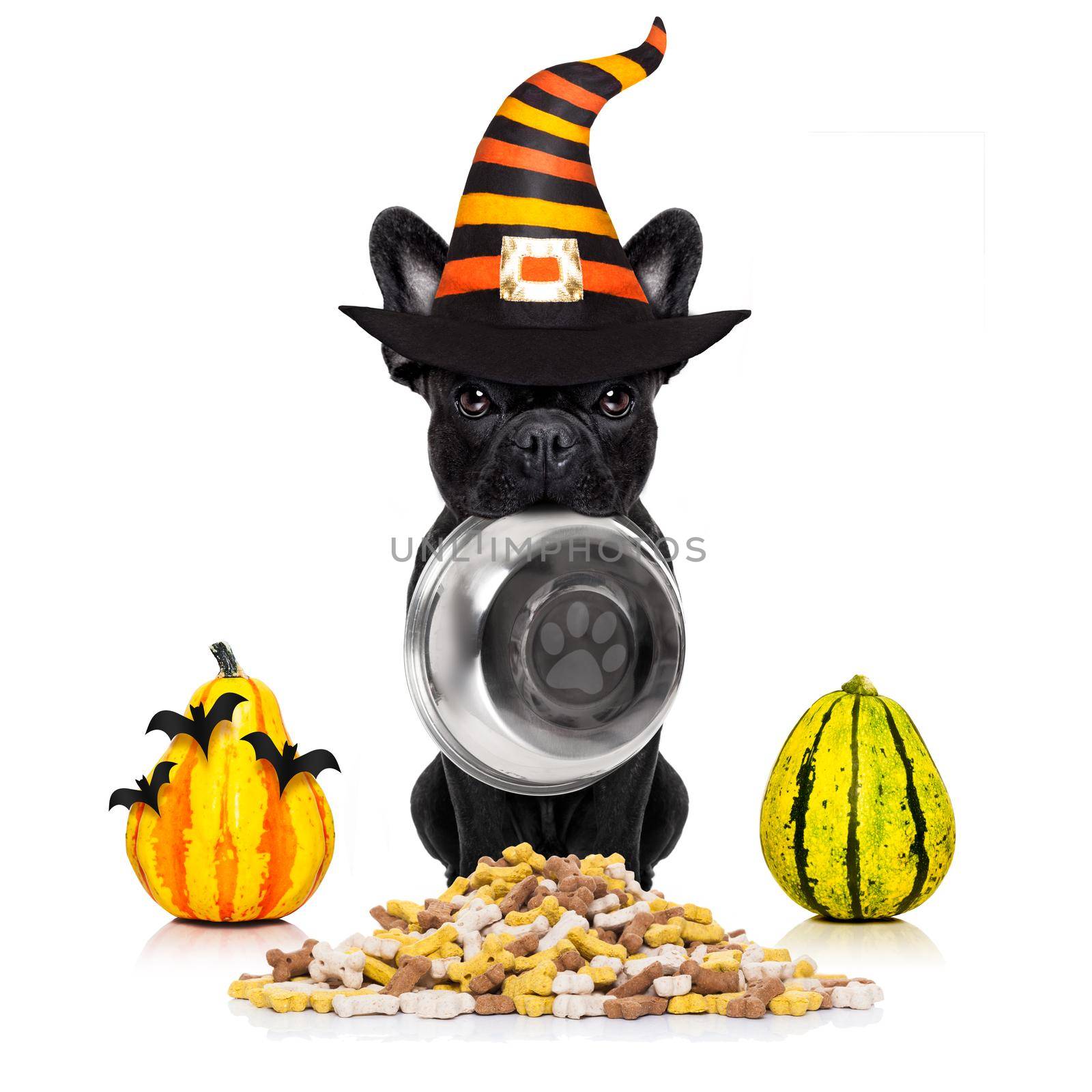 halloween  devil dog hungry for food by Brosch