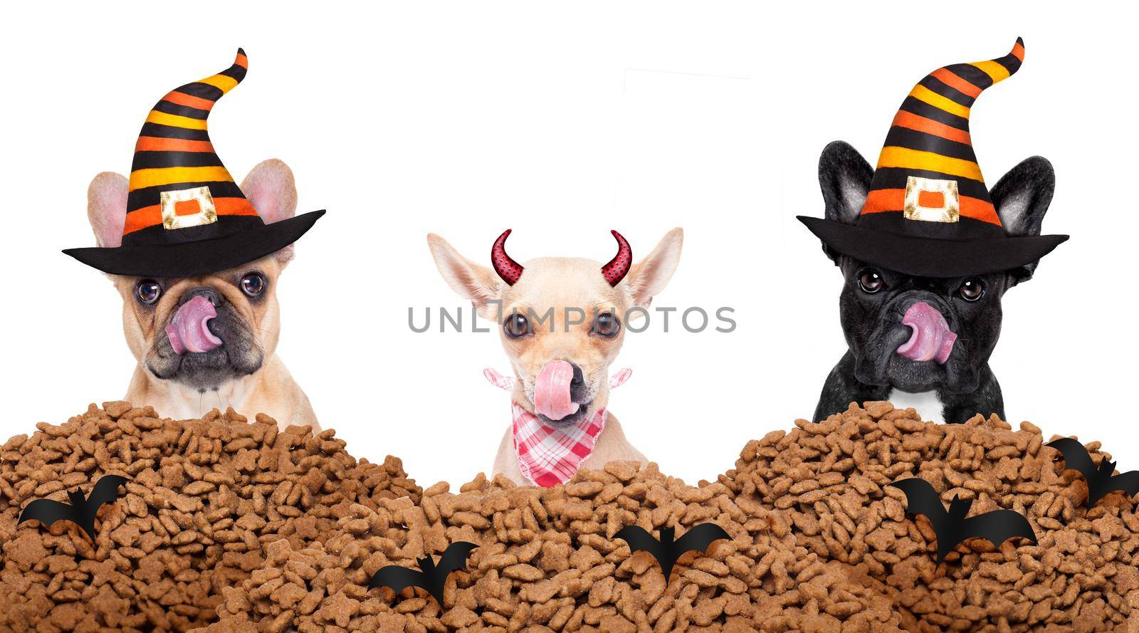 halloween  devil dogs hungry for food  by Brosch