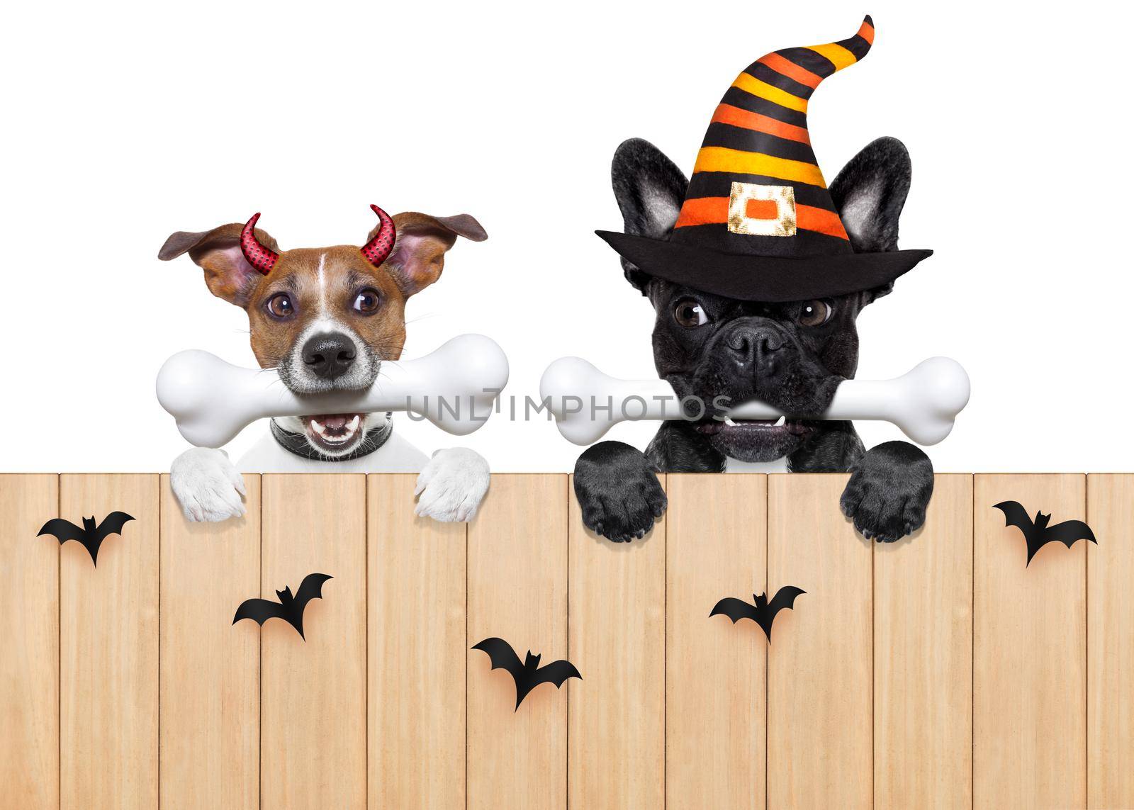 halloween  devil dogs hungry for food by Brosch