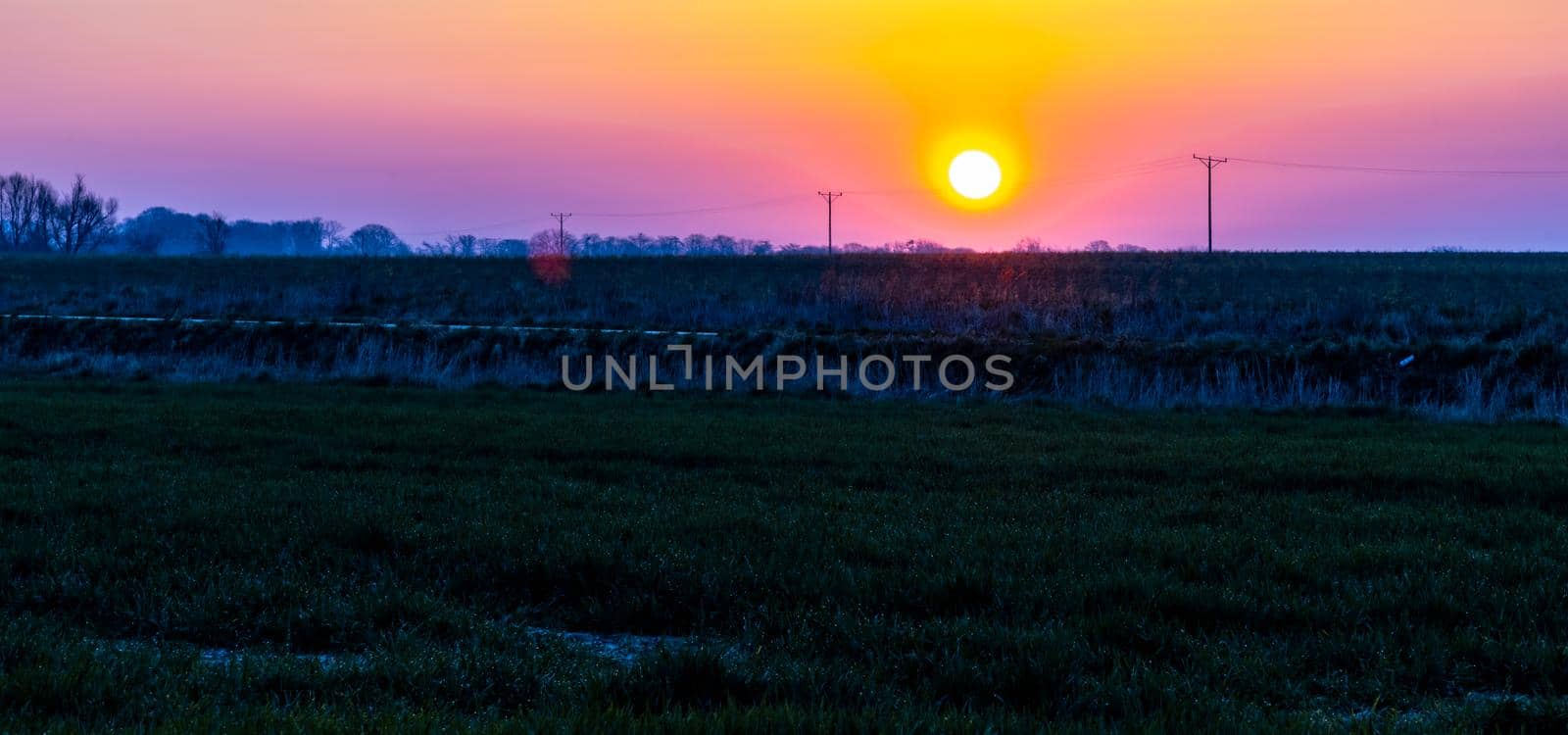 Beautiful sunrise at morning over huge green fields by Wierzchu