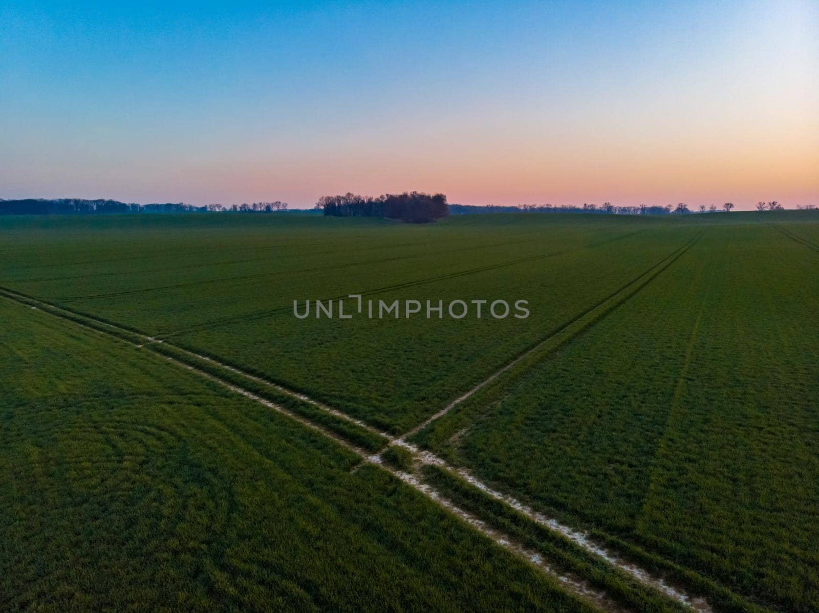 Aerial drone view to long paths between huge fields at sunny morning by Wierzchu