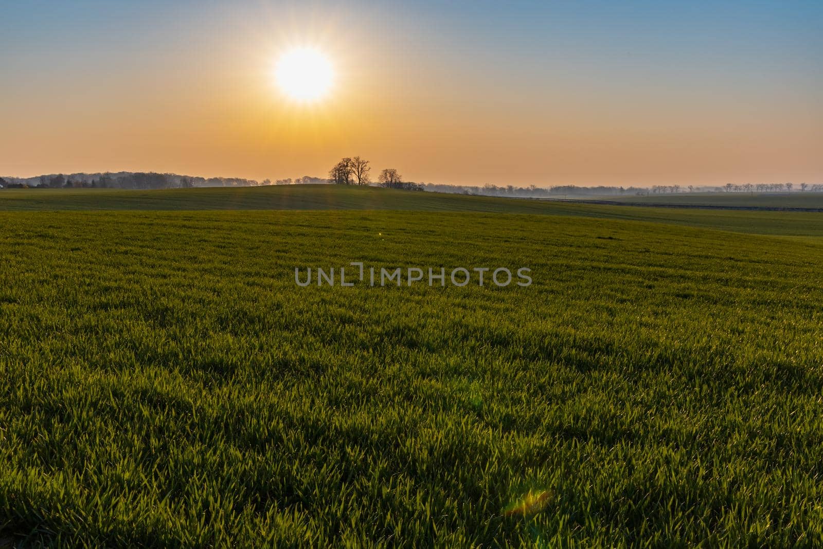 Beautiful sunrise at morning over huge green fields