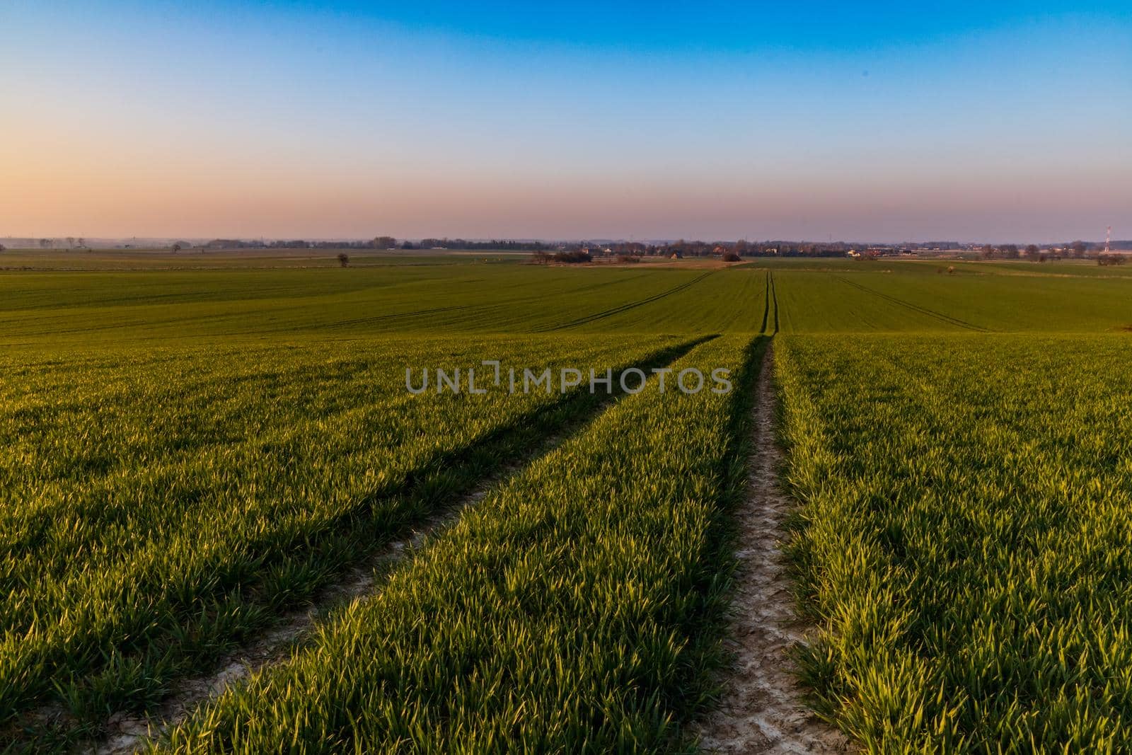 Beautiful sunrise at morning over huge green fields