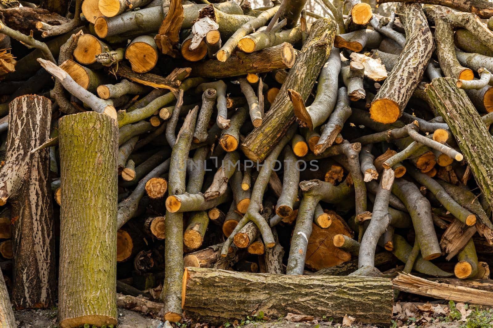 Small pile of felled trees as background