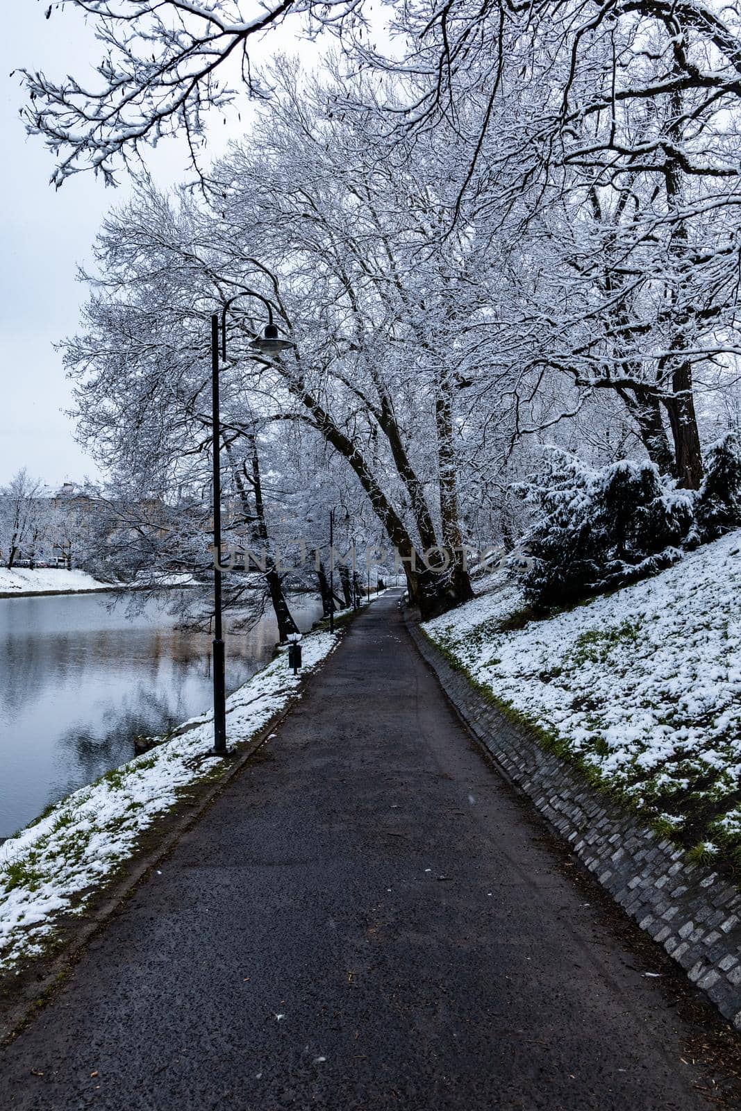 Morning in park full of snow and paths with trees around by Wierzchu