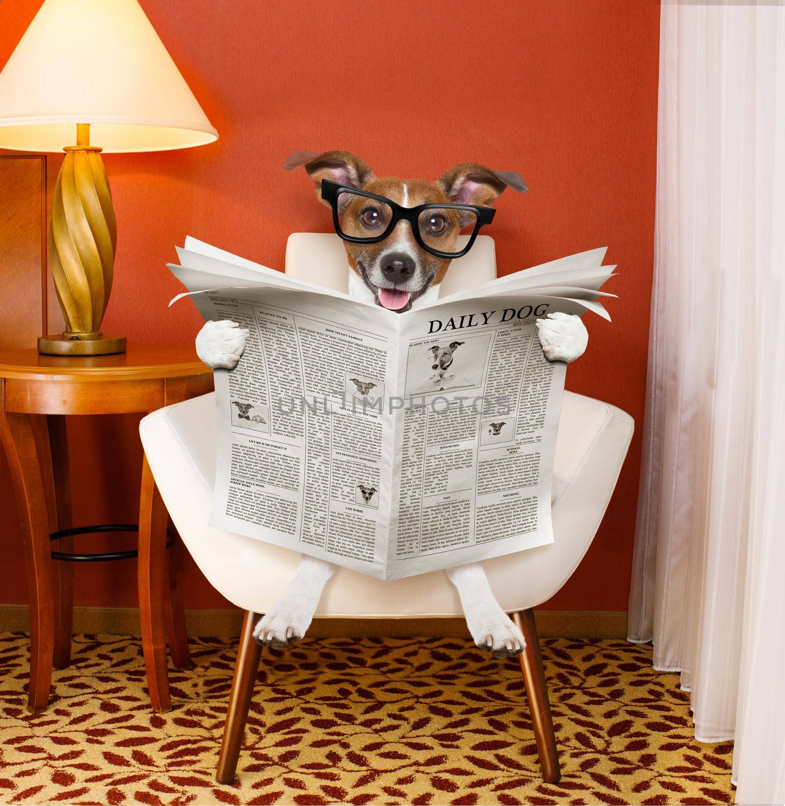 dog reading newspaper at home by Brosch