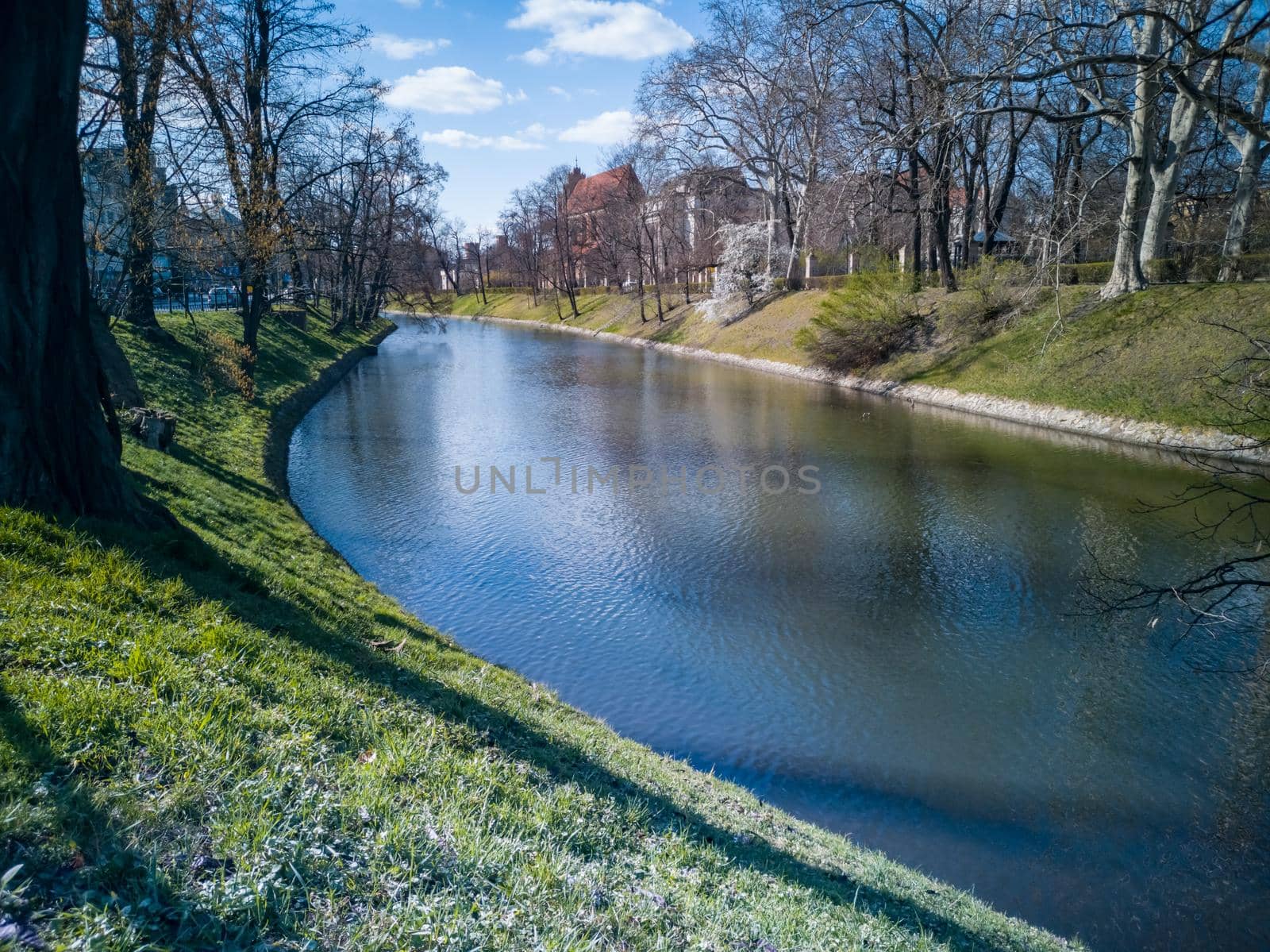 Long moat river in park between trees and bushes at sunny day by Wierzchu