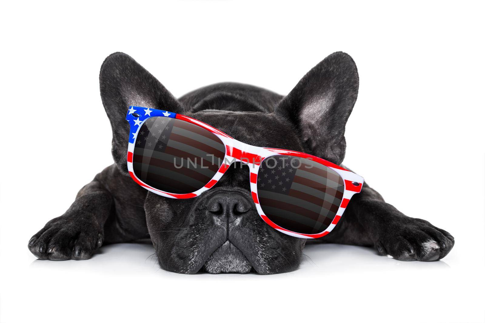 french bulldog dog celebrating  independence day 4th of july with  sunglasses,  isolated on white background