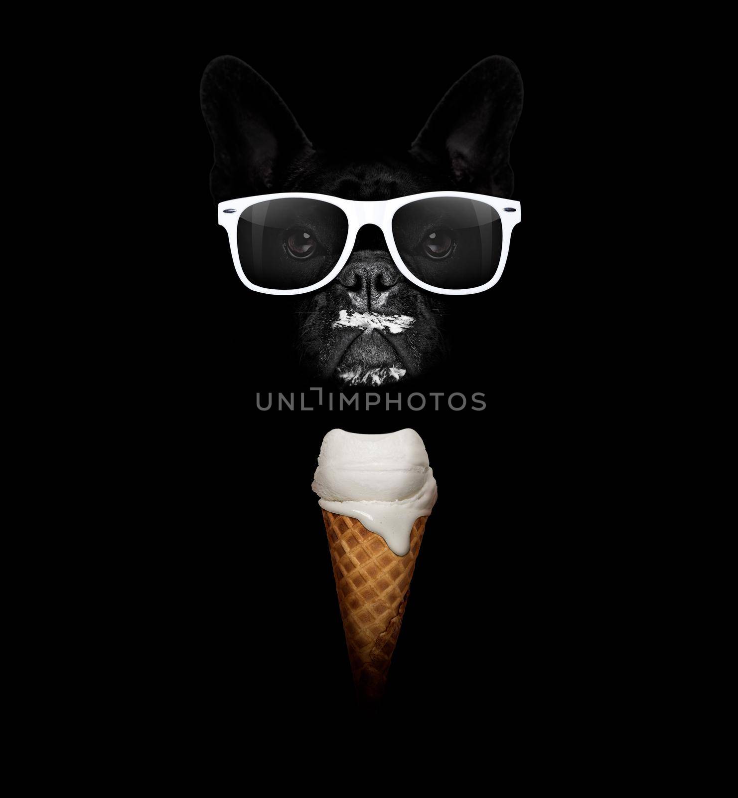 french bulldog in dark isolated background ,with a waffle cone of cold and fresh yummy delicious ice cream