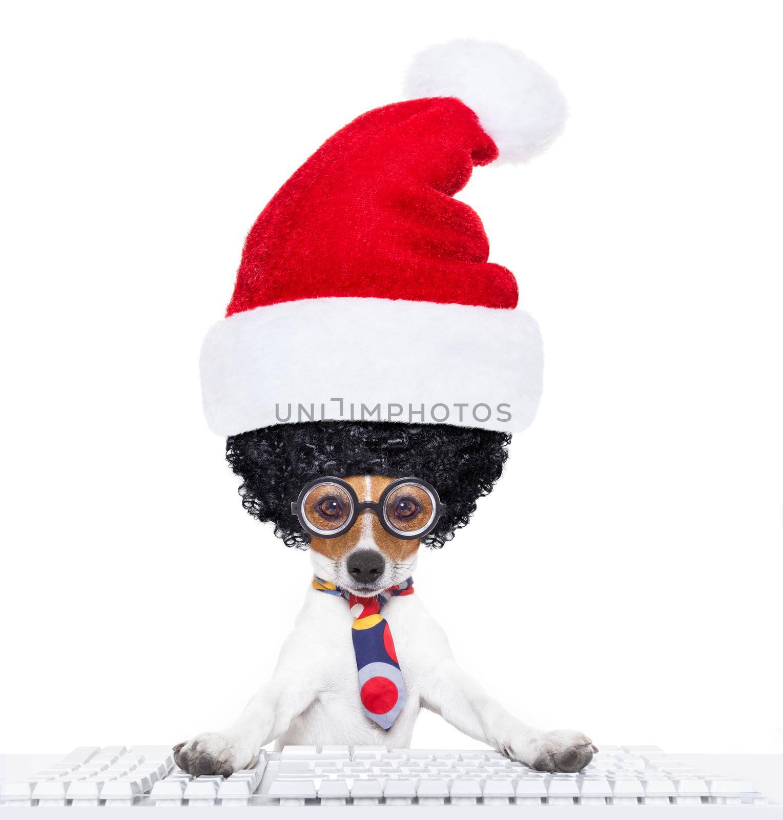 dog office worker on christmas holidays by Brosch