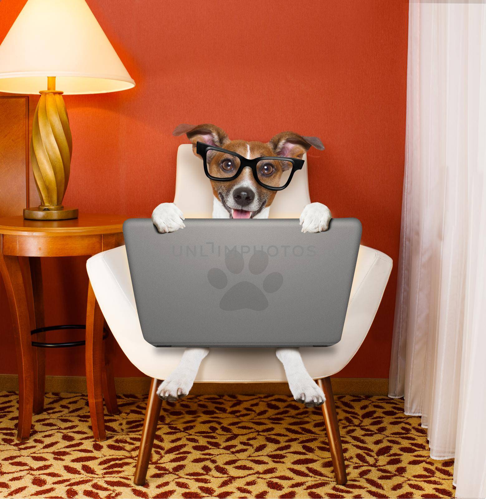 dog with laptop pc computer by Brosch