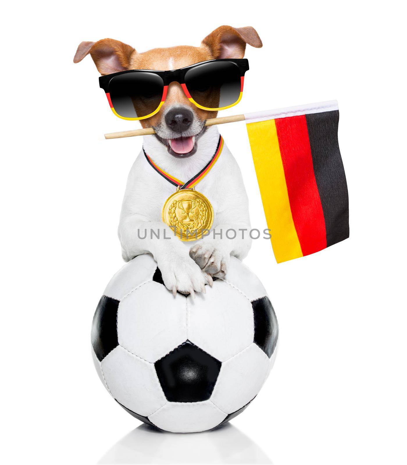 soccer jack russell dog by Brosch