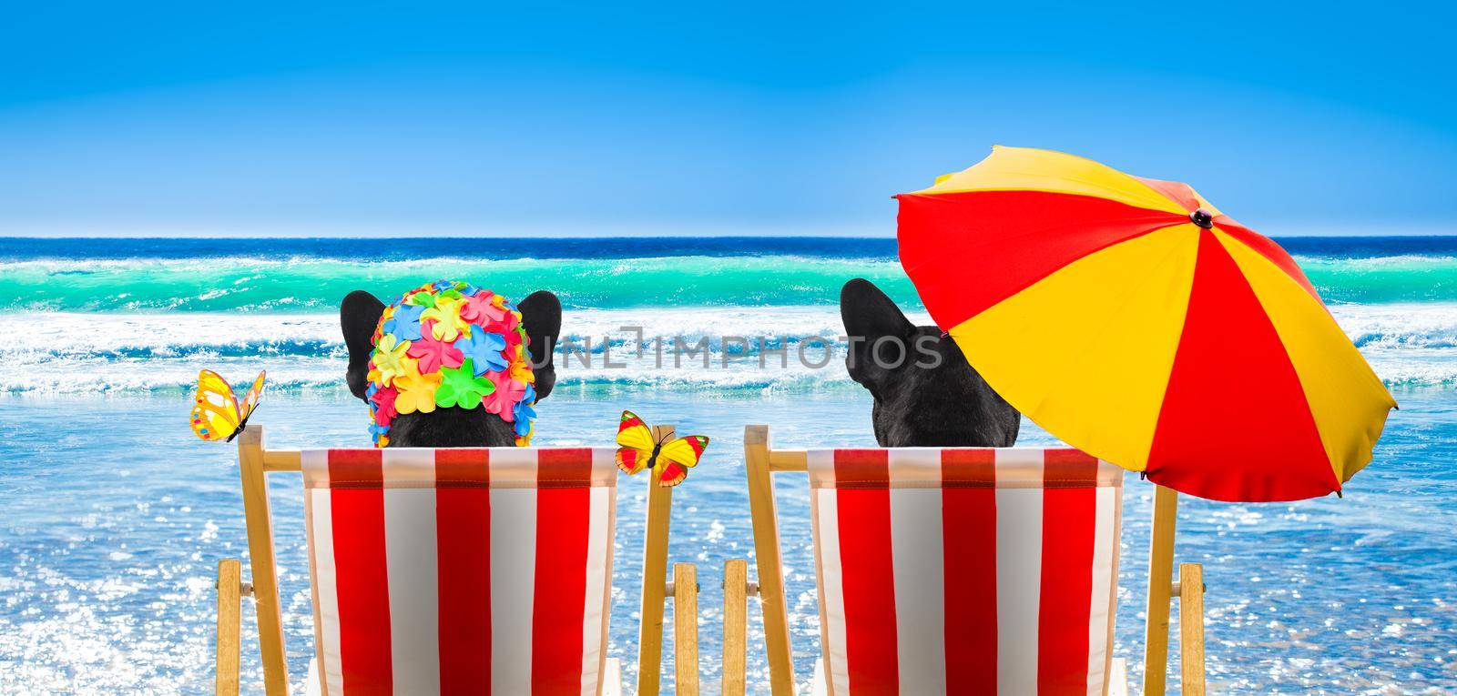 dog resting and relaxing on a hammock or beach chair under umbrella at the beach ocean shore, on summer vacation holidays