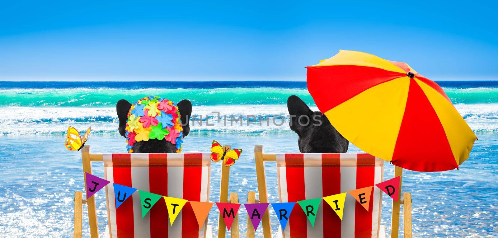 dog resting and relaxing on a hammock or beach chair under umbrella at the beach ocean shore, on summer vacation holidays, just married