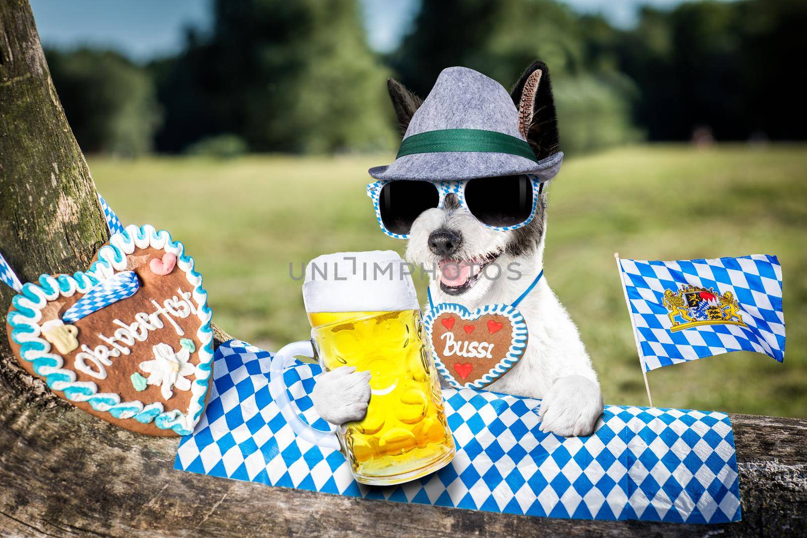 bavarian poodle  dog  holding  a beer mug  outdoors by the river and mountains  , ready for the beer party celebration festival in munich