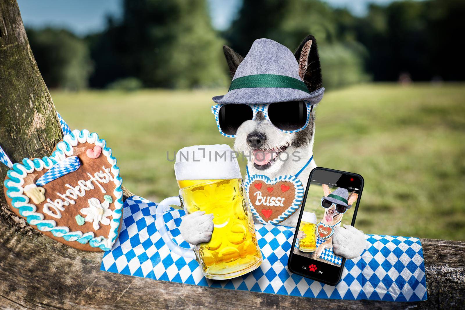 bavarian poodle  dog taking a selfie holding  a beer mug  outdoors by the river and mountains  , ready for the beer party celebration festival in munich