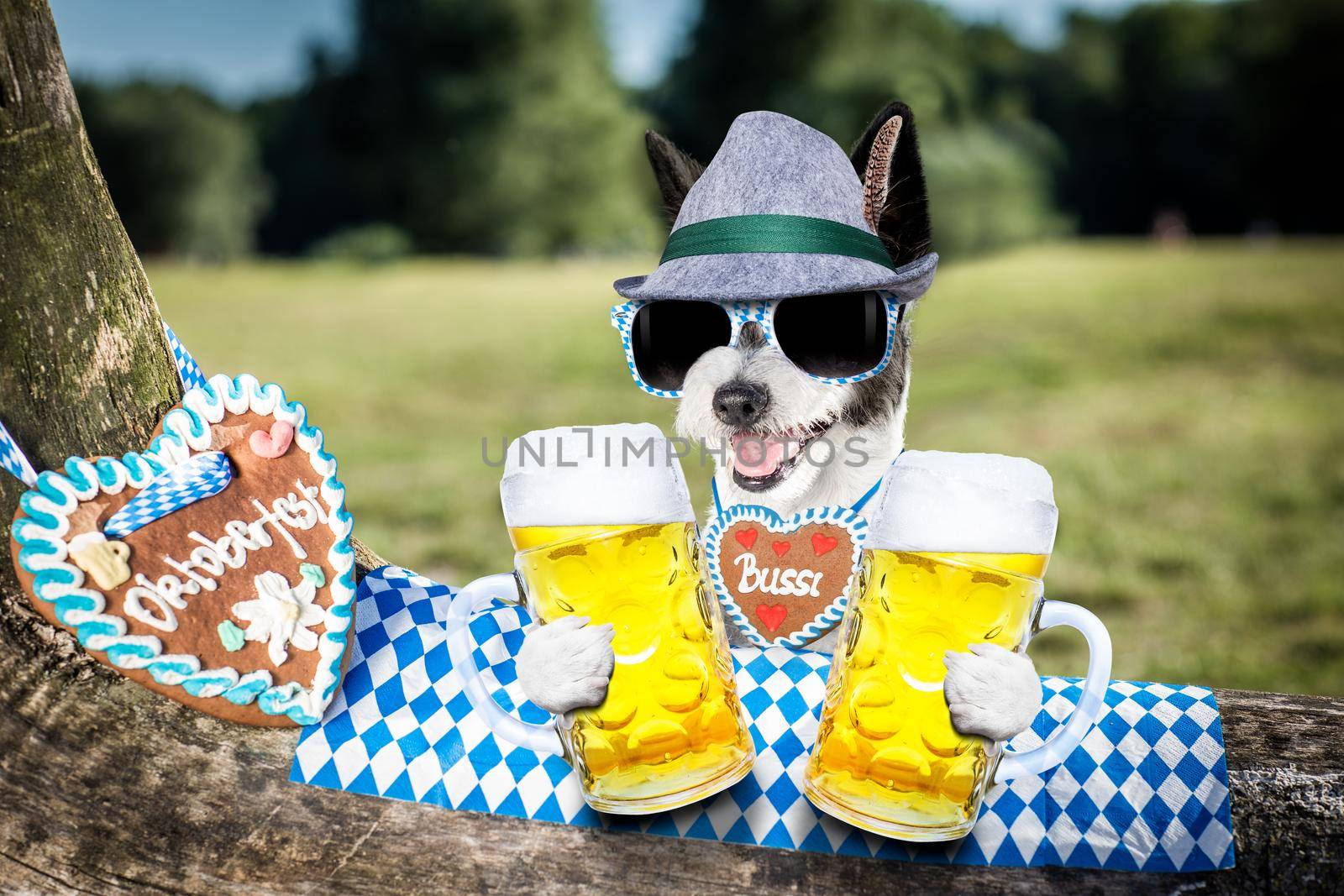 bavarian poodle  dog  holding  a beer mug  outdoors by the river and mountains  , ready for the beer party celebration festival in munich