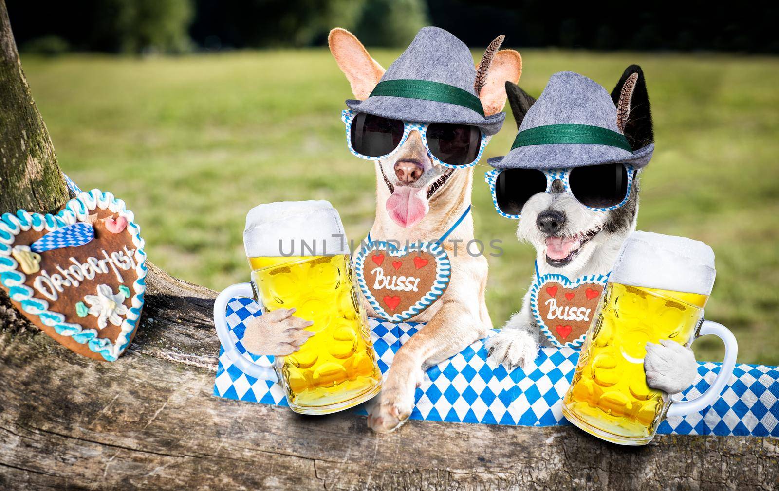 bavarian couple of  dogs  holding  a beer mug  outdoors by the river and mountains  , ready for the beer party celebration festival in munich