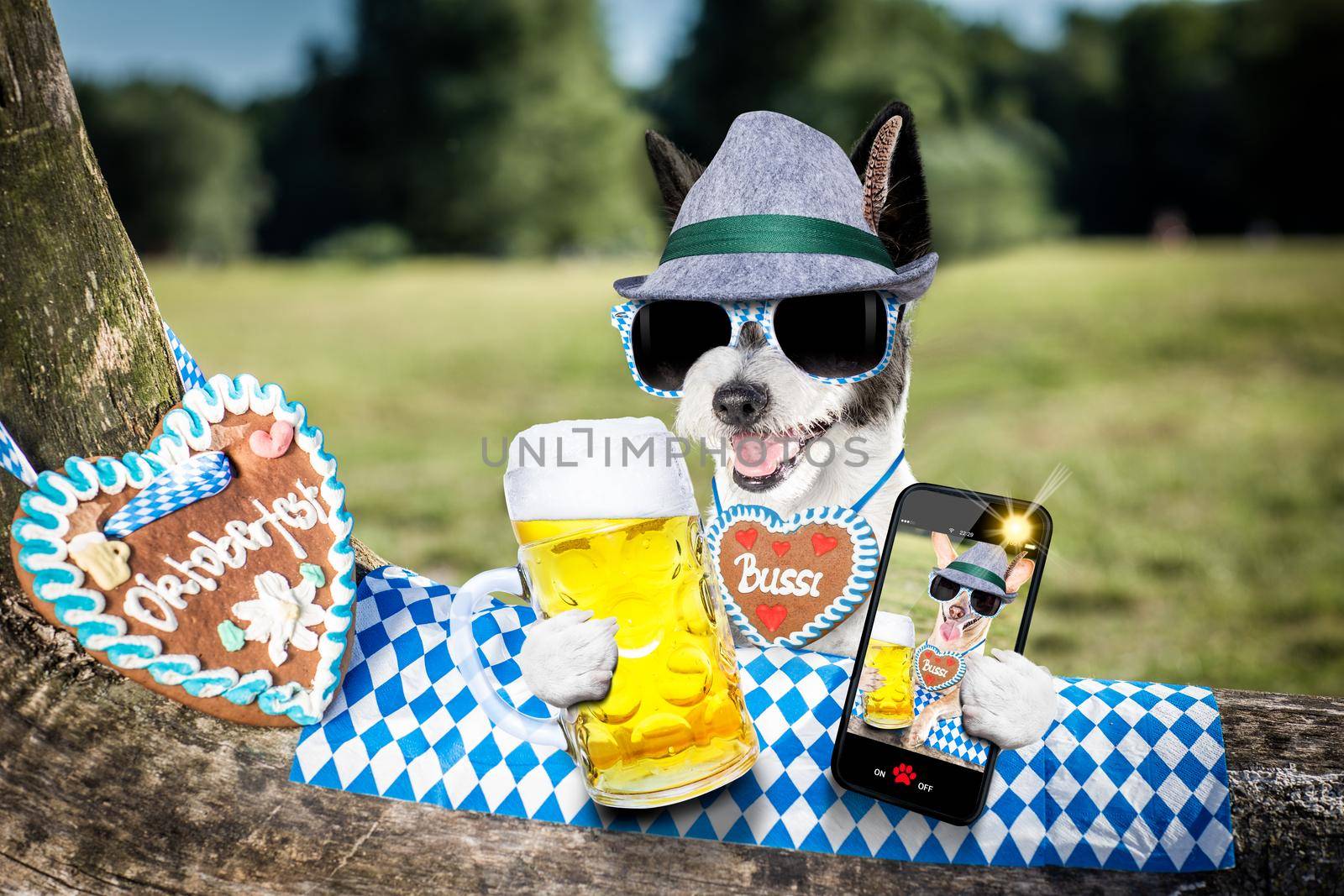 bavarian poodle  dog taking a selfie holding  a beer mug  outdoors by the river and mountains  , ready for the beer party celebration festival in munich