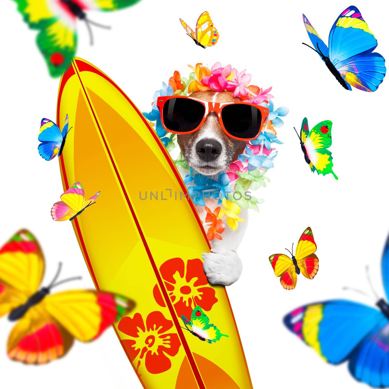 summer paradise vacation surfer dog  by Brosch