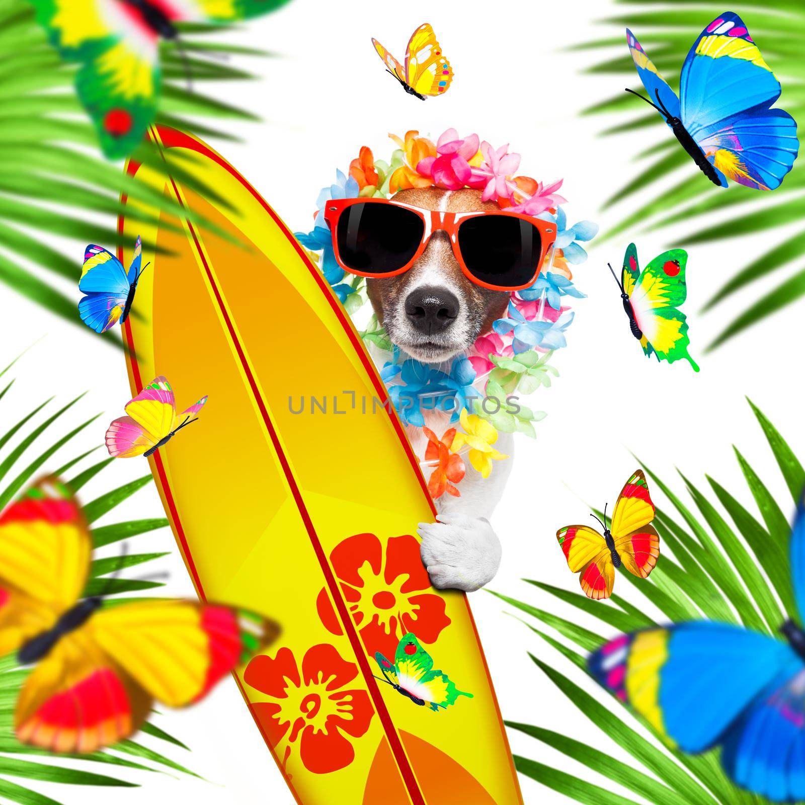 summer paradise vacation surfer dog  by Brosch