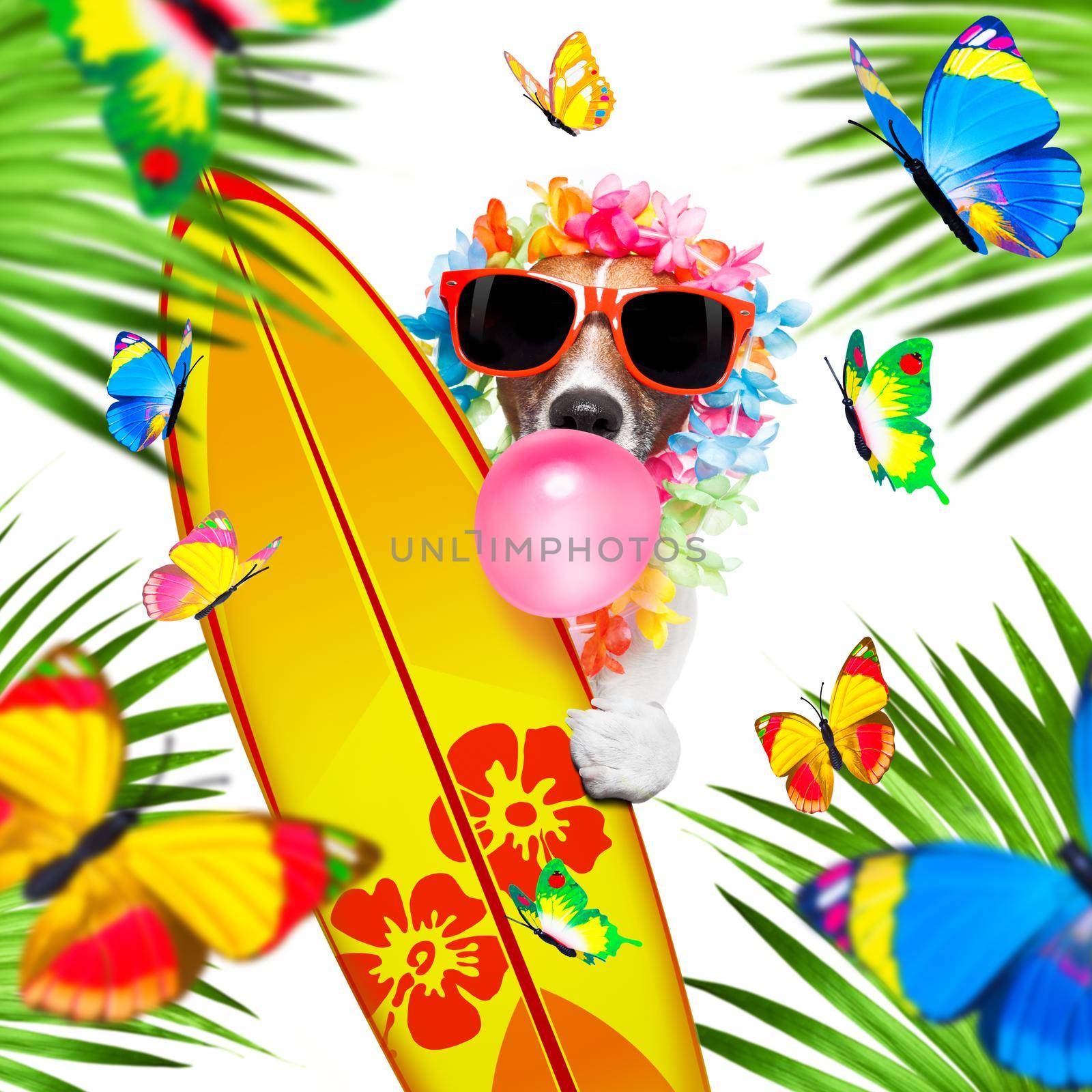 summer paradise vacation surfer jack russell dog with surfboard and sunglasses isolated on white background, butterflies and palms