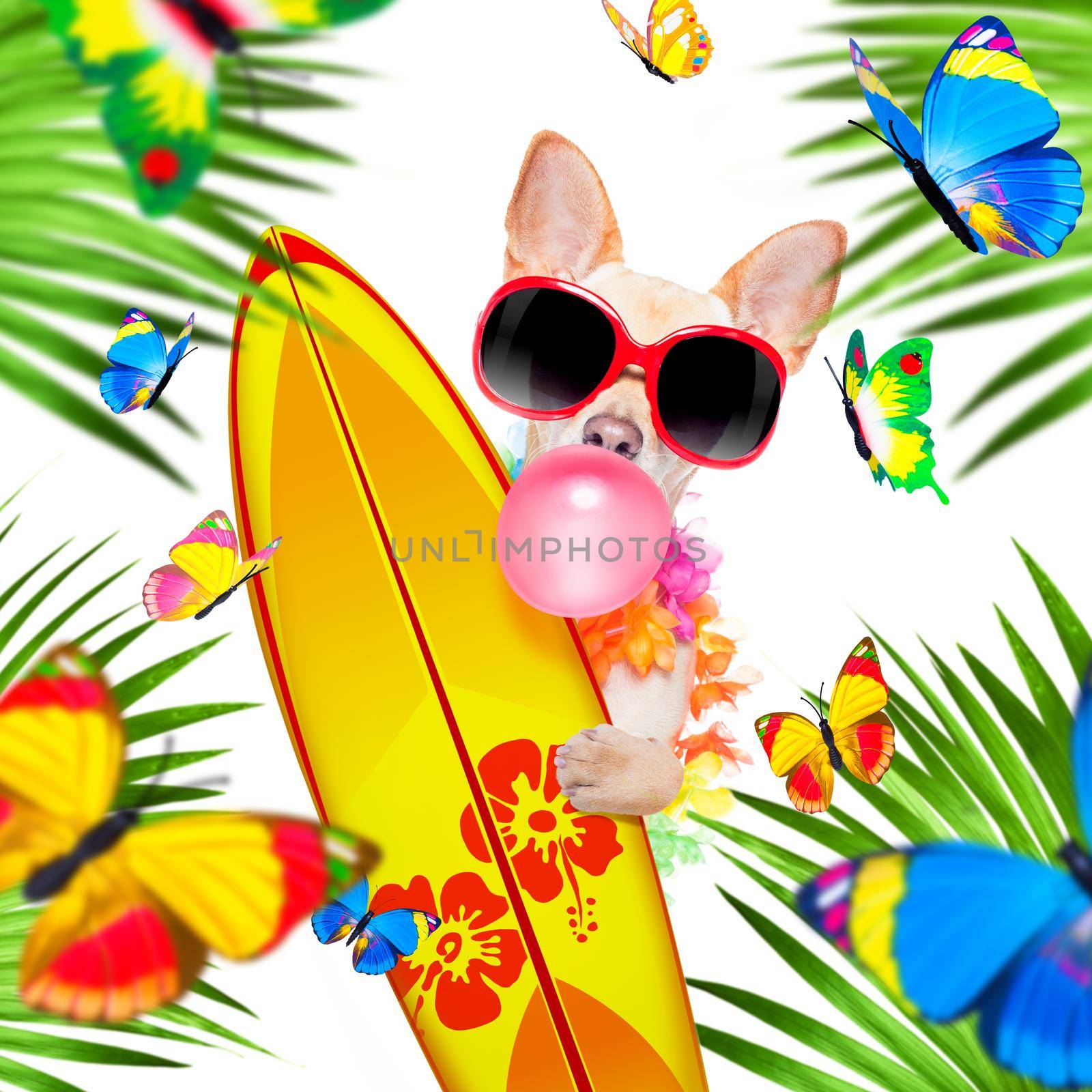 summer paradise vacation surfer chihuahua dog with surfboard and sunglasses isolated on white background, butterflies and palms