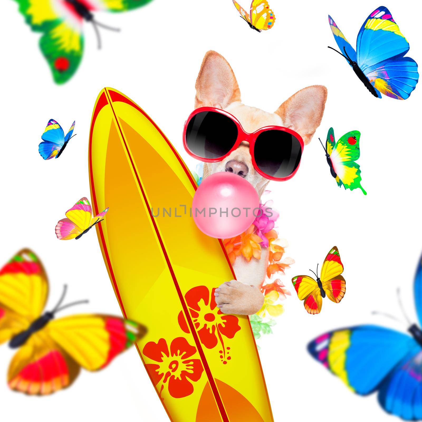 summer paradise vacation surfer dog  by Brosch