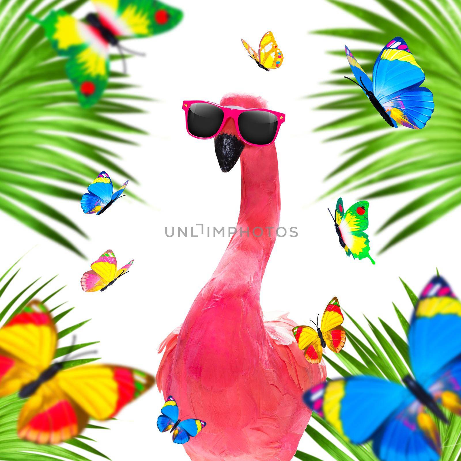 summer paradise vacation flamingo by Brosch