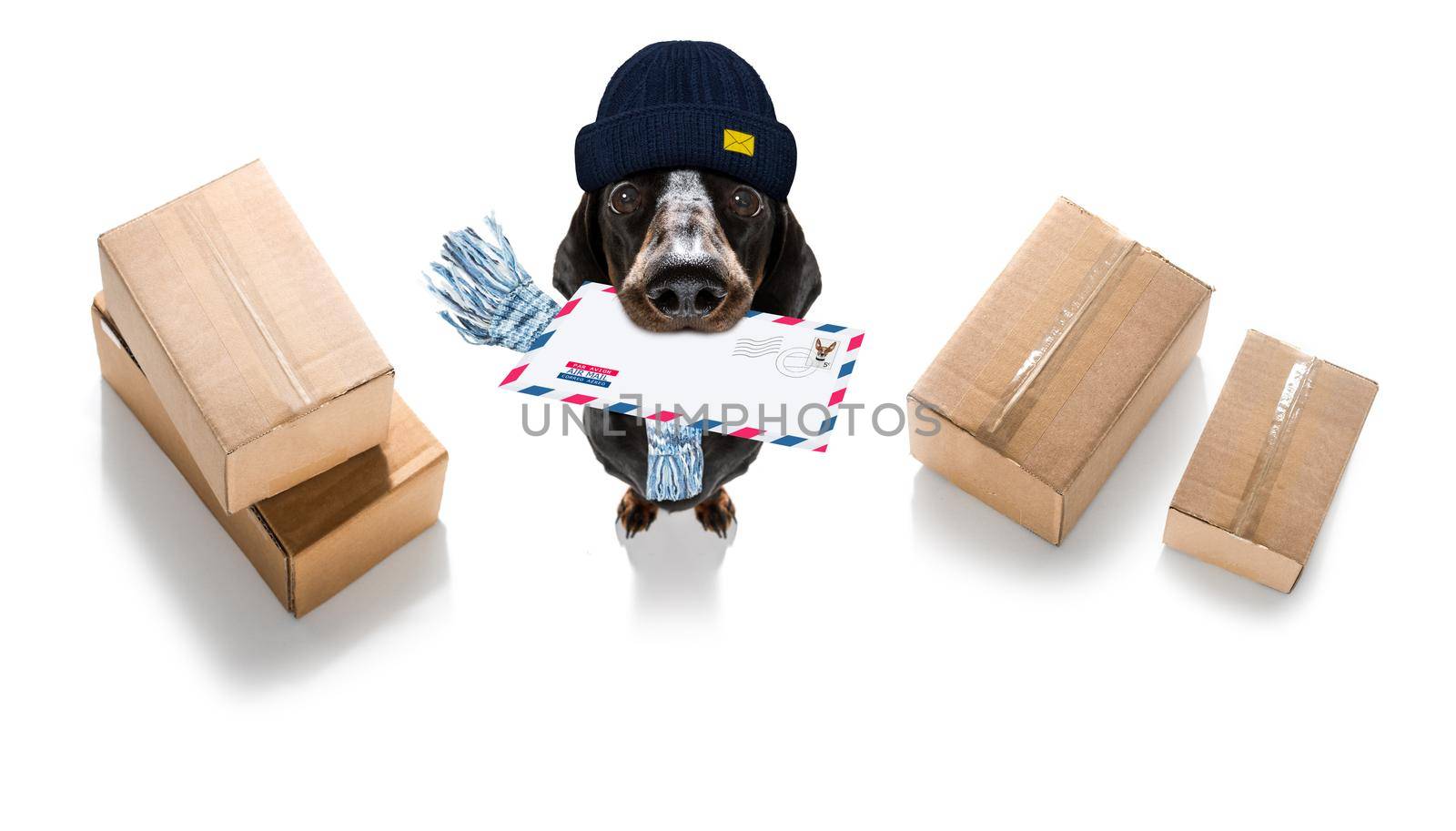 dog mail deliver   postal post man  by Brosch