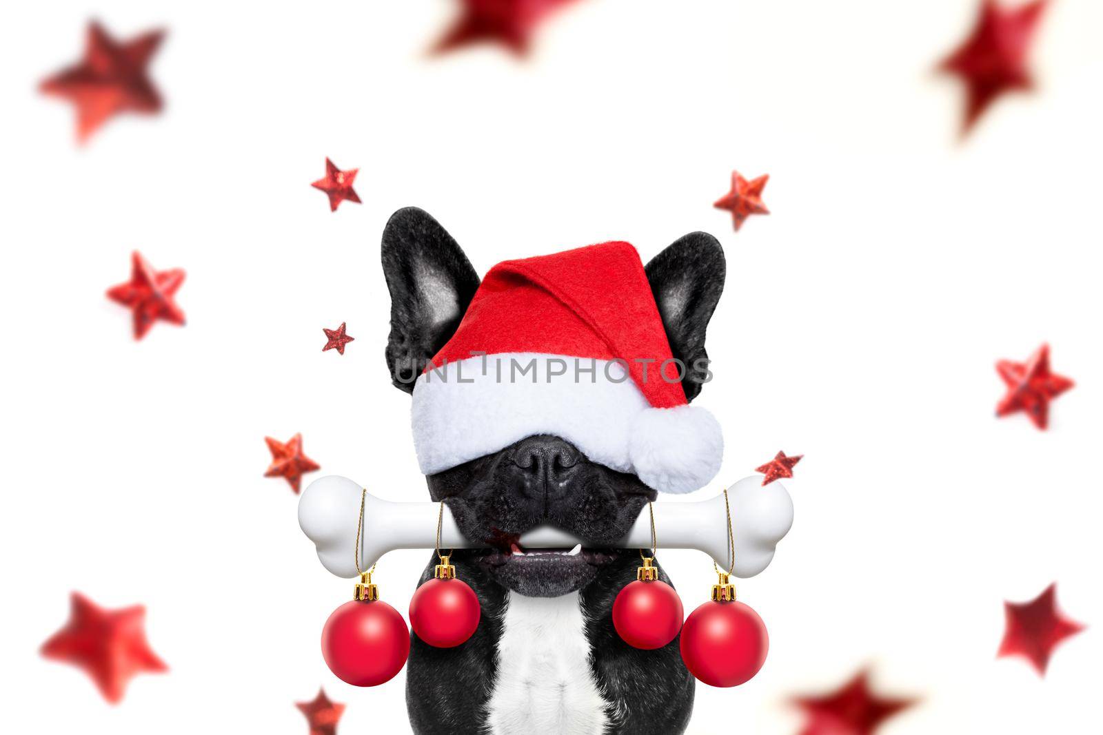 christmas santa claus dog  by Brosch