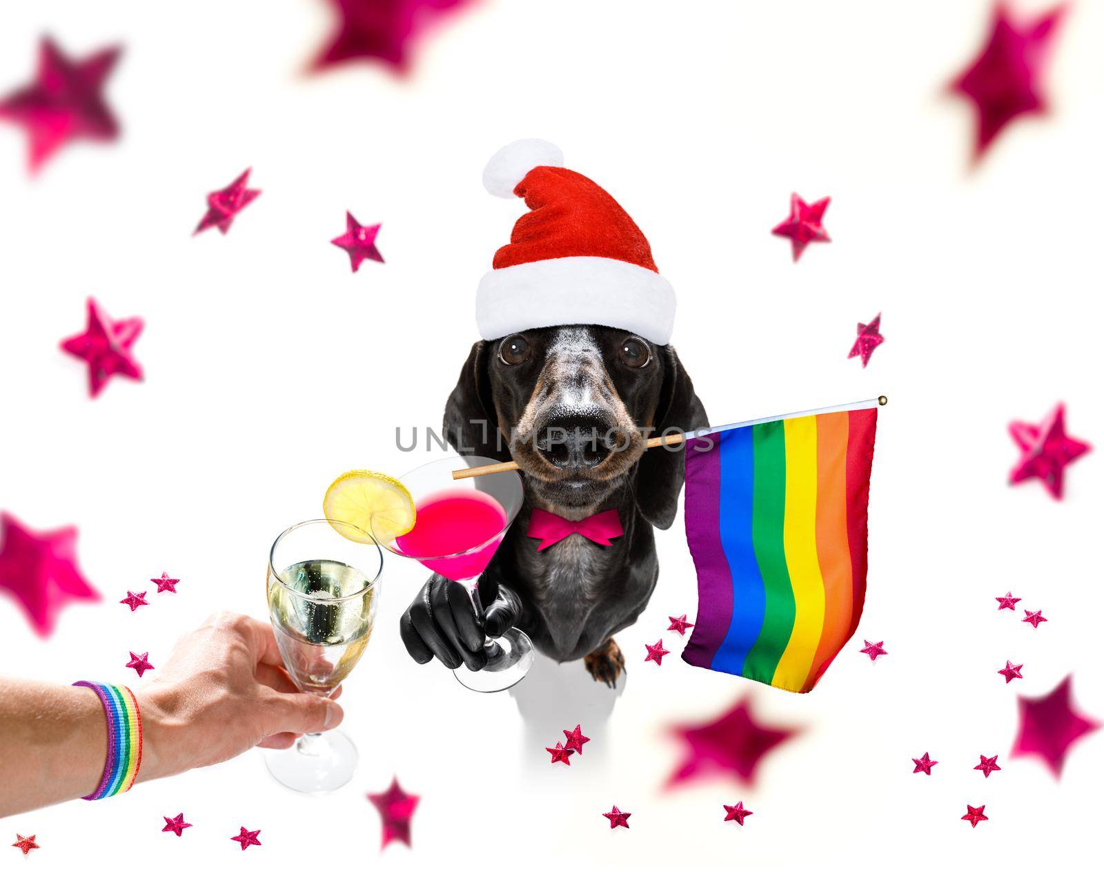 happy new year dog celberation by Brosch