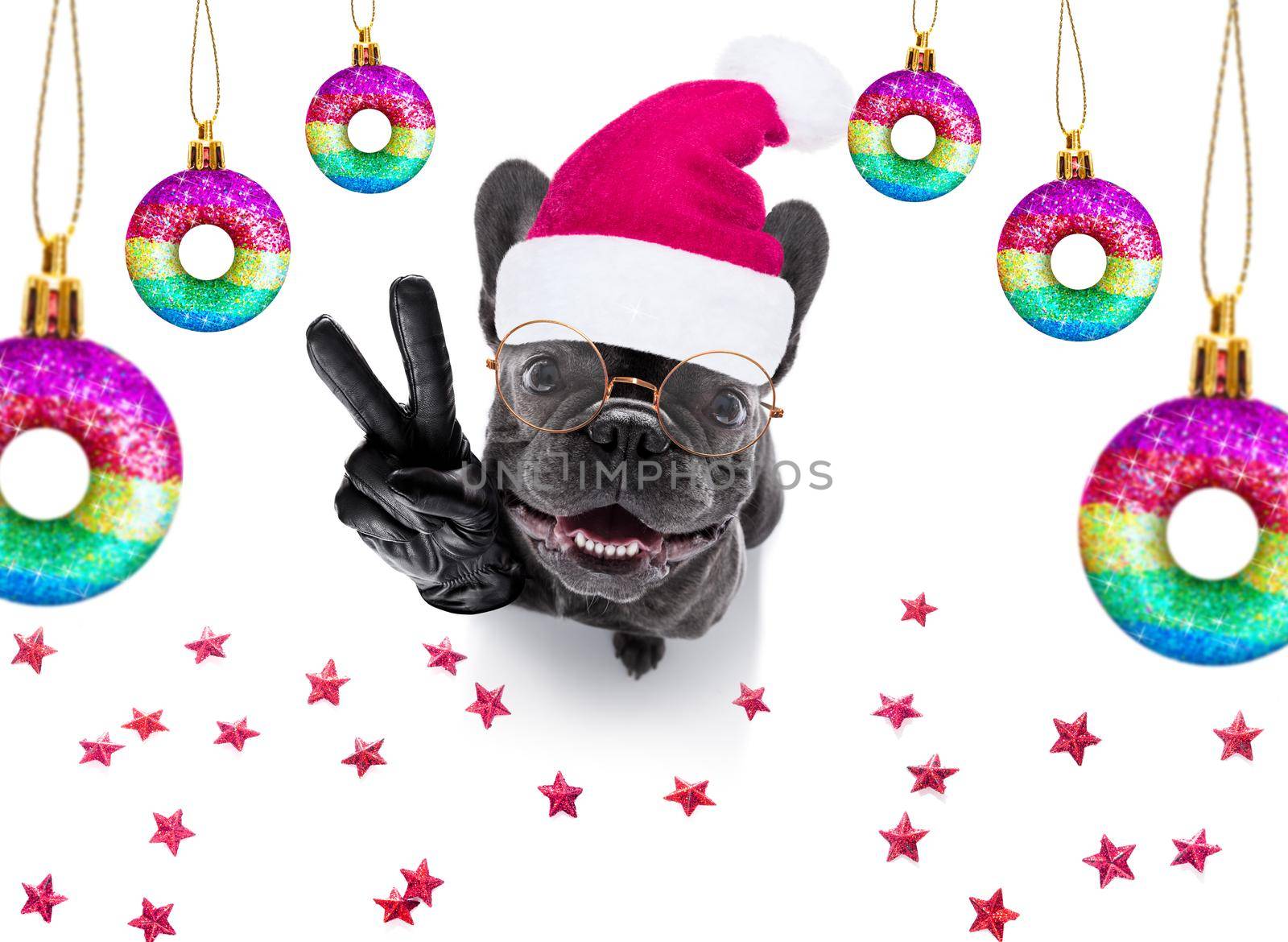 gay lgbt french bulldog  dog  as santa claus  for christmas holidays baubles hanging with peace victory fingers