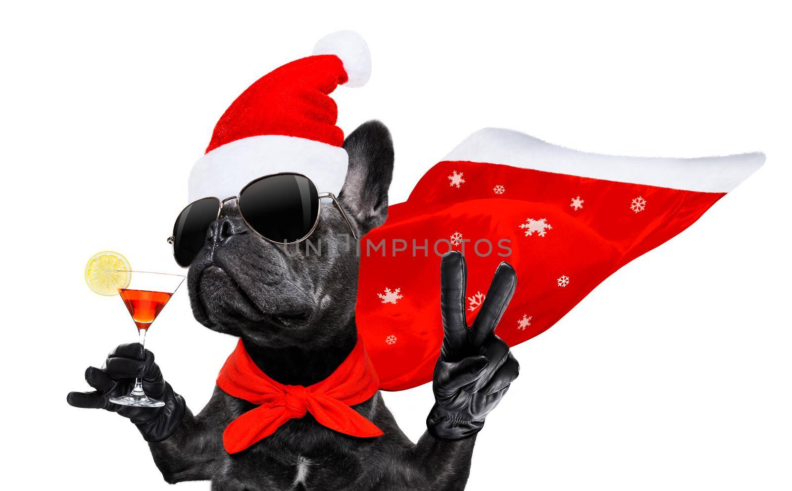 christmas santa claus dog  by Brosch