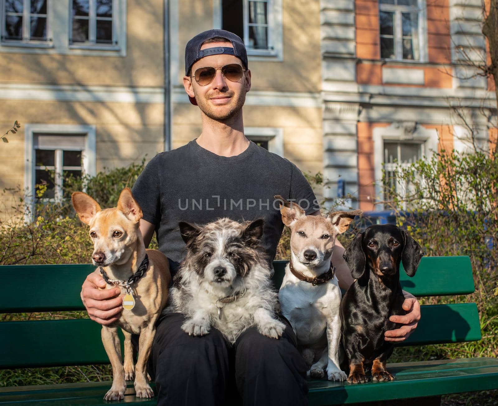 obedient dogs with trainer and  owner sitting on a bank  by Brosch