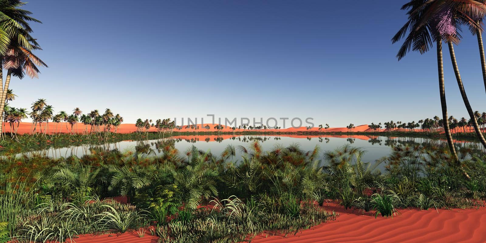oasis panoramic in desert, 3d render illustration