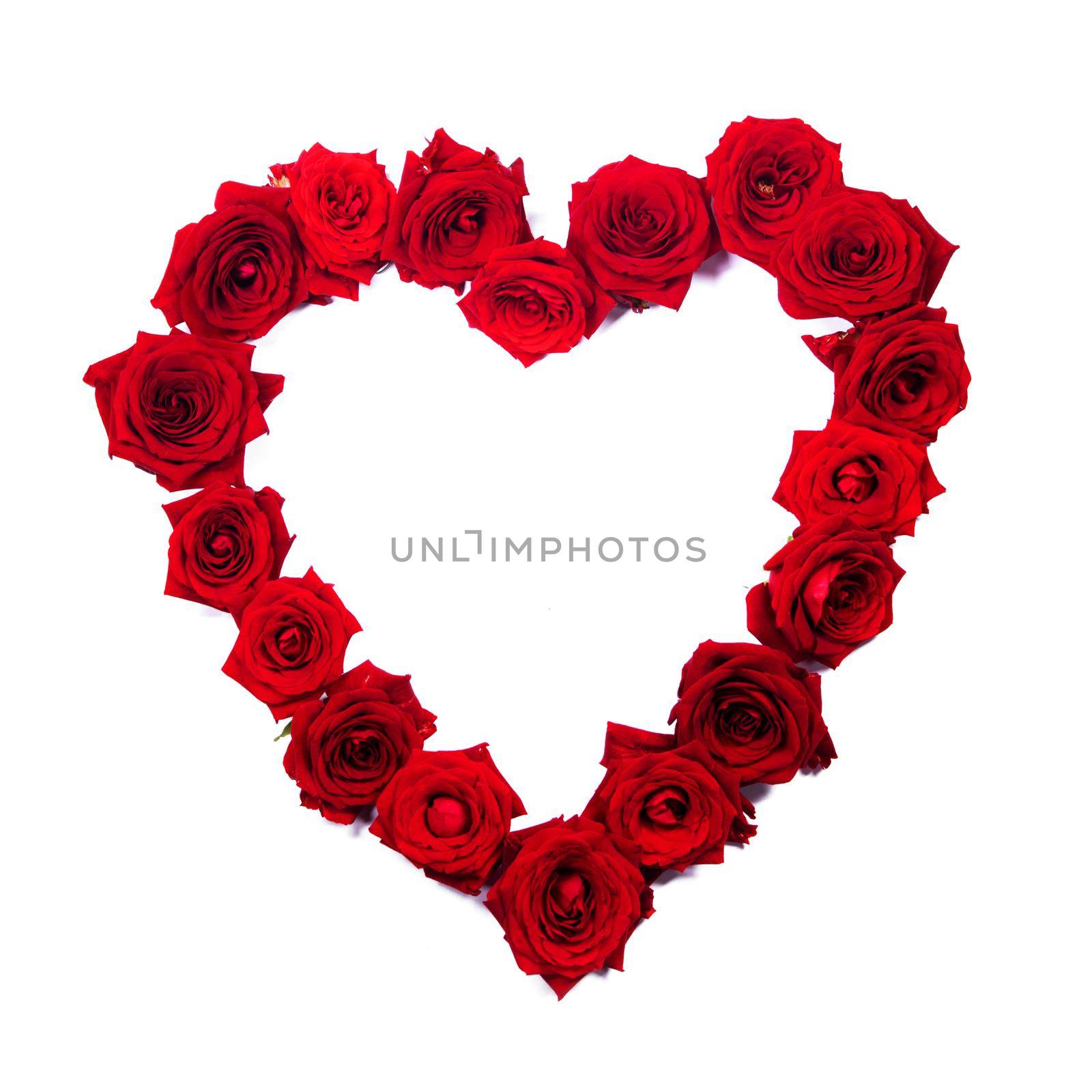 Rose flowers heart shape isolated on white background Valentine day