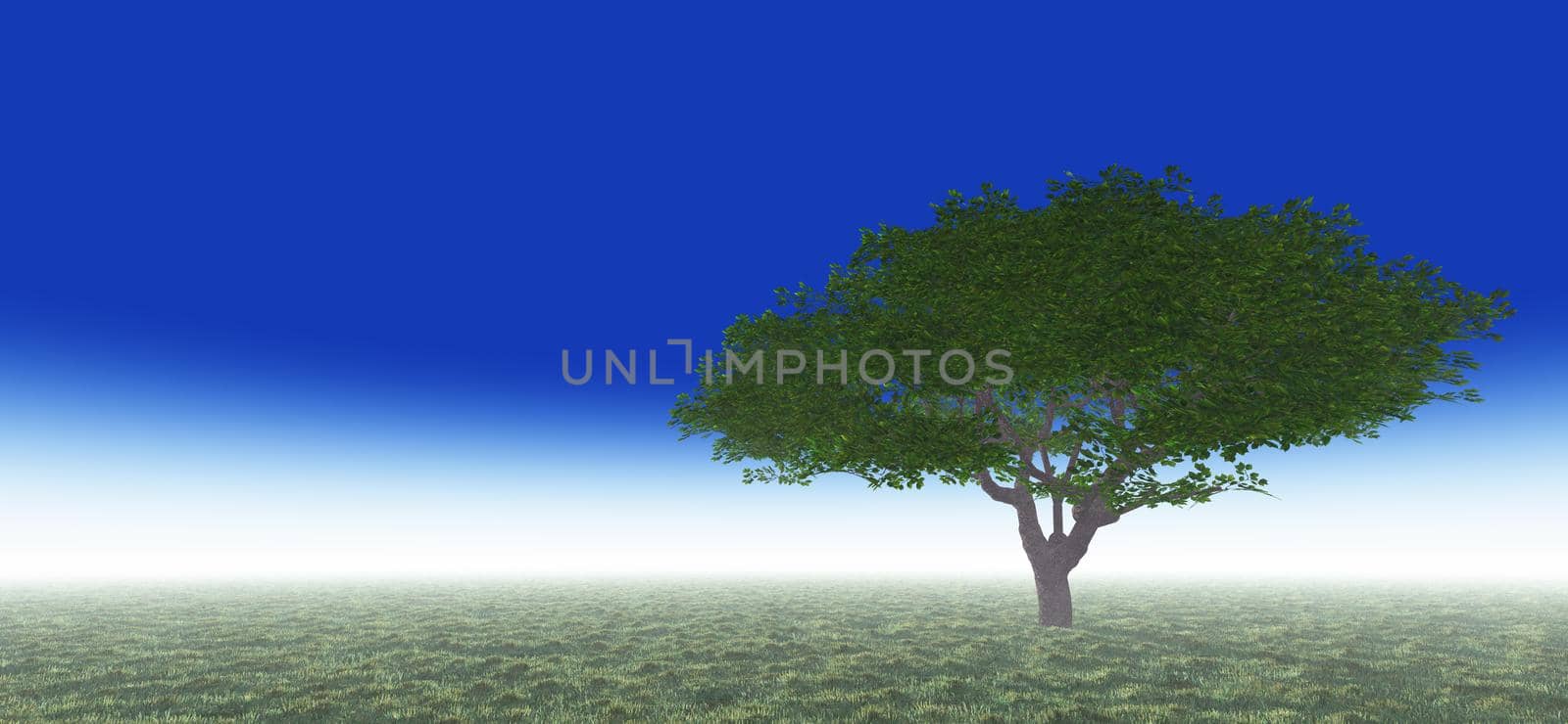 tree in green meadow, 3d render illustration