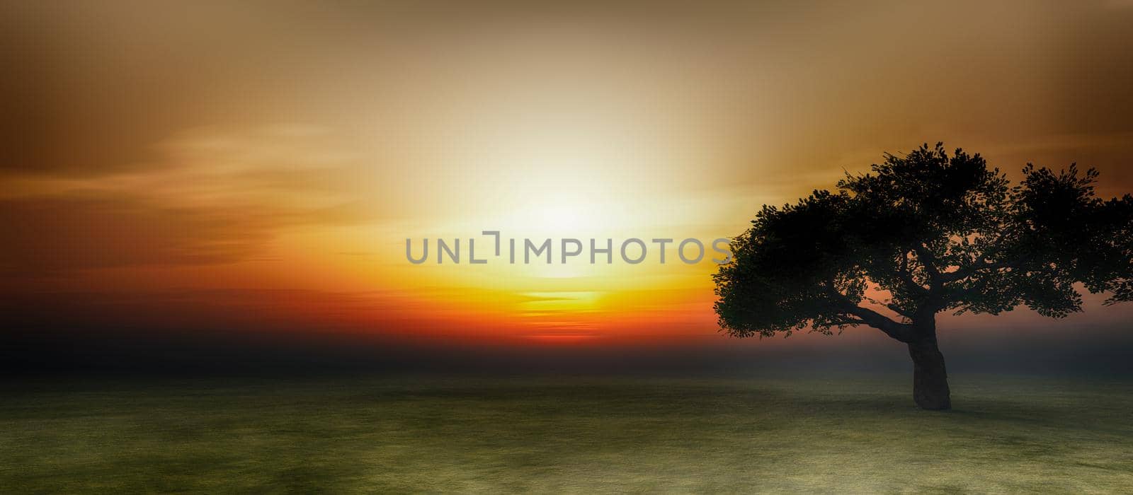 tree on field sunrise, 3d render illustration