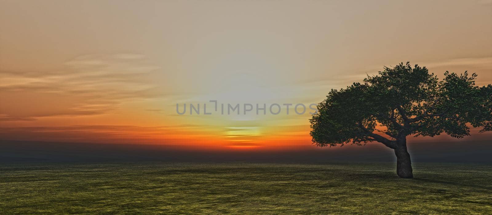 tree on field sunrise, 3d render illustration