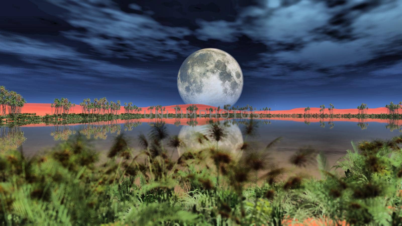 full moon over oasis, 3d render illustration