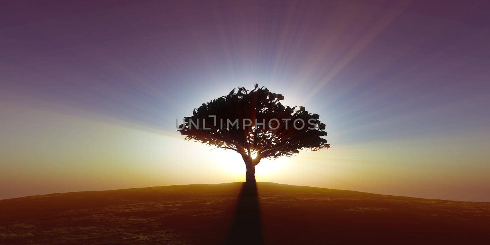 tree on the filed sunset sky, 3d render illustration