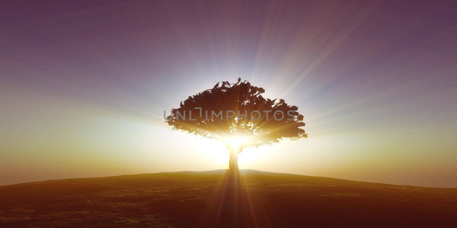 tree on the filed sunset sky, 3d render illustration