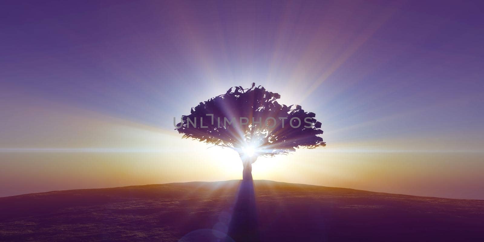 tree on the filed sunset sky, 3d render illustration